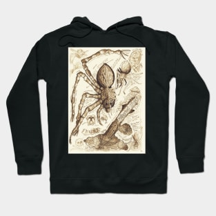 Whooping Spider Anatomy Study Hoodie